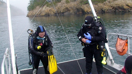 SPMC researchers prepare to dive