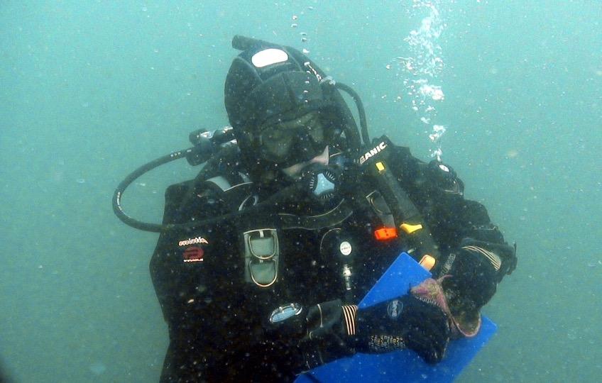Underwater photo of diver