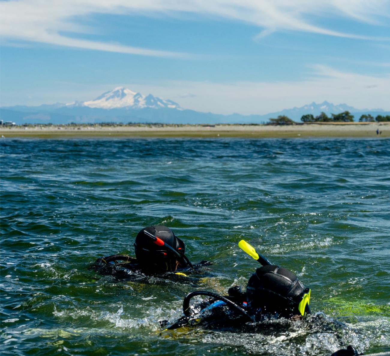 Two SCUBA divers peak out of water with Mt. Baker in background
